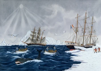 The Whaling
